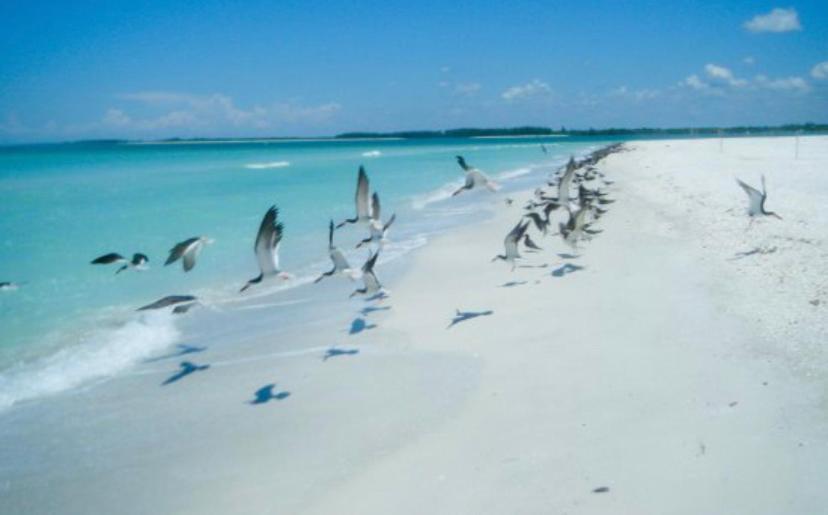 Hotel Paradise Found - Private Oasis With Heated Pool On Marco Island Esterno foto